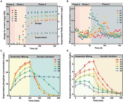 Inhibition of phosphorus removal performance in activated sludge by Fe(III) exposure: transitions in dominant metabolic pathways